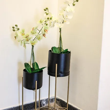 Elektras στο κέντρο της λάρισας με δωρεάν πάρκιγκ και πρωινό 라리사