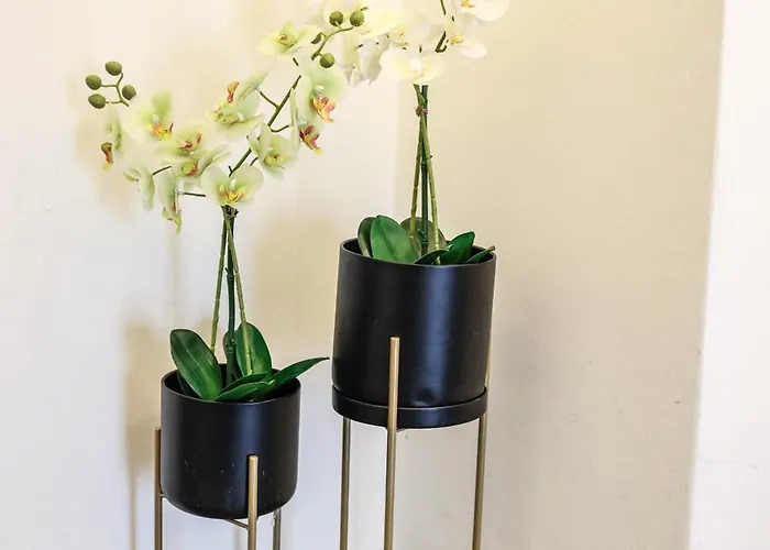 Elektras στο κέντρο της λάρισας με δωρεάν πάρκιγκ και πρωινό Lárisza